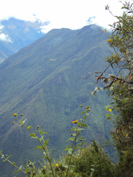 La montée prévue pour l'après-midi