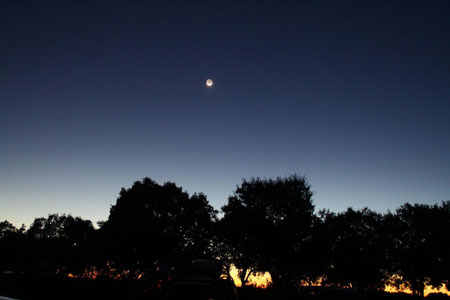 Crepúsculo vespertino