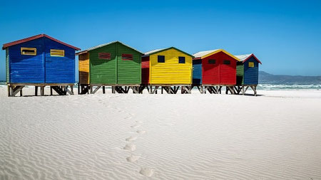 Urlaub im Januar wohin? Kapstadt