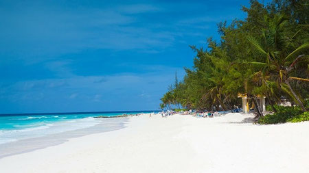 Urlaub im Januar wohin? Barbados