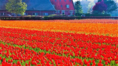 Beste Reiseziele April: Niederlande