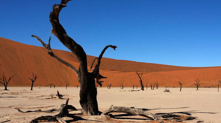 Wohin im Juni reisen? Namibia