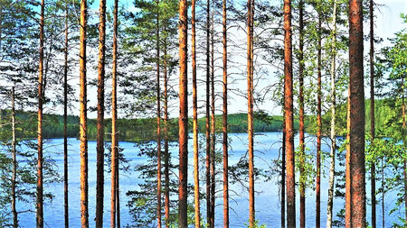 Wohin im August reisen? Finnland