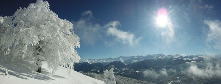 Novembre blanc, 2013.