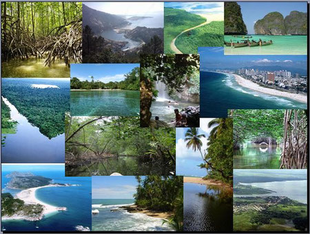ecosistemas del caribe
