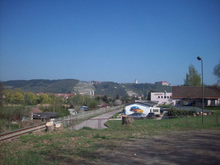 Blick zur Neuenburg in Freyburg