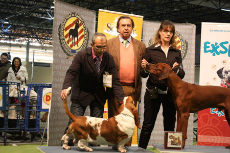 CALVIN KLEIN C.A.C, MEJOR DE RAZA ,SEGUNDO DE GRUPO