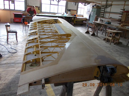 Wing covering