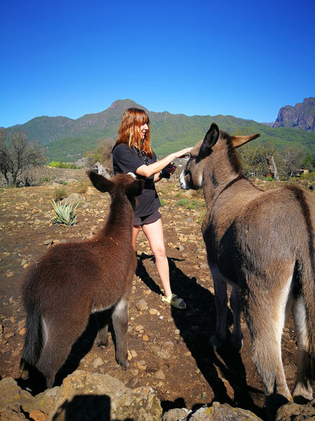 mujer-con-dos-burros-en-un-paisaje-con-montañas