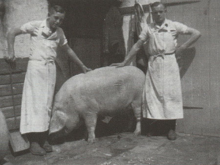 Vor der Schlachtung: Ferdinand Odenthal (rechts) und Lehrjunge