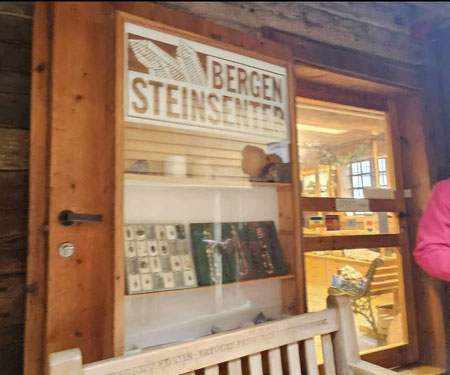Steinsenter Bergen