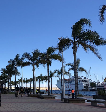 Port Gandia, Valencia, 04/2019