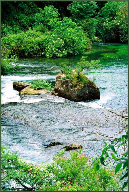 La Sorgue et ses reflets le long du chemin menant au gouffre et sa résurgence, Fontaine de Vaucluse, Pays de La Sorgue, Vaucluse (84) 