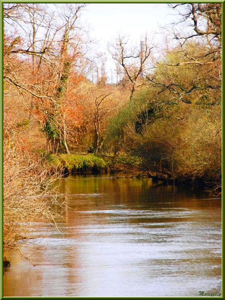 Un bras de la rivière La Leyre au détour du chemin, Sentier du Littoral secteur Pont Neuf, Le Teich, Bassin d'Arcachon (33) 