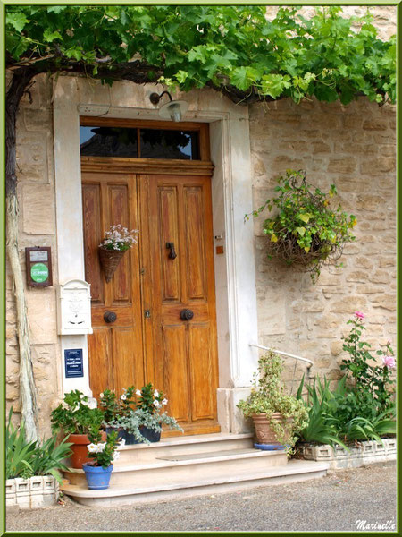 Pas de porte à la treille - Goult, Lubéron - Vaucluse (84) 