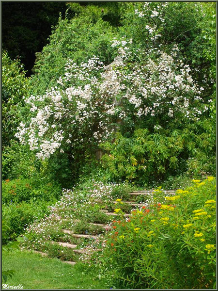 Escalier menant au Canal - Les Jardins du Kerdalo à Trédarzec, Côtes d'Armor (22)  