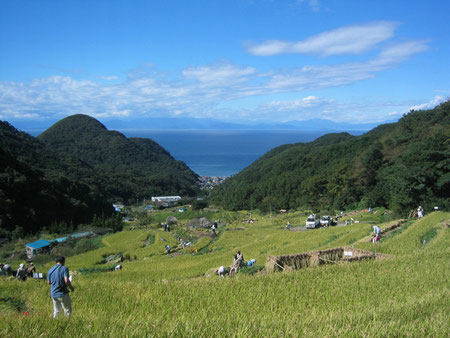 静岡県松崎町石部の棚田