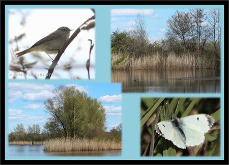 Wietzepark Hufeisensee Hannover