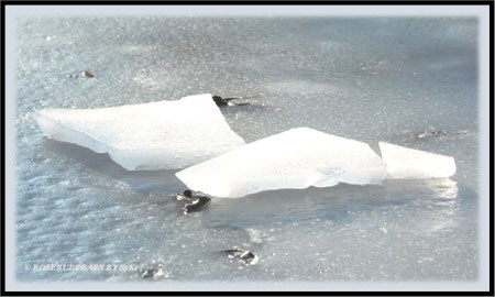 Frost Hannover