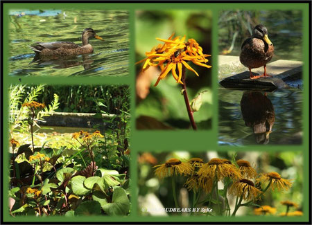 Stadtpark Hannover