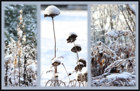 Stadtpark Hannover Schnee