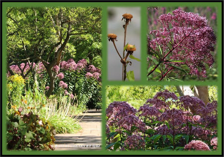 Stadtpark Hannover