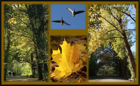Annateich Hannover