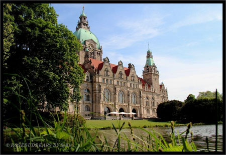 Das Neue Rathaus vom Maschpark aus