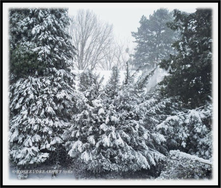 Hannover Schnee Elli