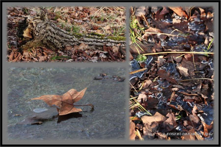 Tiergarten Hannover