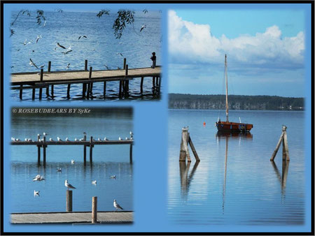 Steinhude Steinhuder Meer