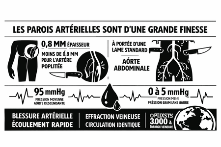 Vulnérabilité des artères aux blessures