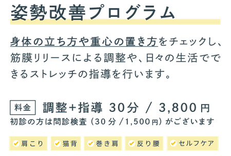 札幌市　白石区　整骨院