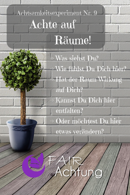 In einem Raum steht eine Blume. Auf dem Bild steht: "Achte auf Räume - Was siehst Du? - Wie fühlst Du Dich hier? - Hat der Raum Wirkung auf Dich? - Kannst Du Dich hier entfalten? - Oder möchtest Du hier etwas ändern?"