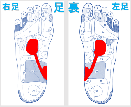 腰痛・慢性腰痛・鍼灸師がおススメする自分で出来るセルフケアを紹介・足反射・足ツボ・ツボ・経穴・東洋医学・鍼灸・漢方・漢方薬