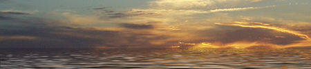 Header_46