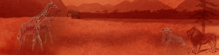 Header_56