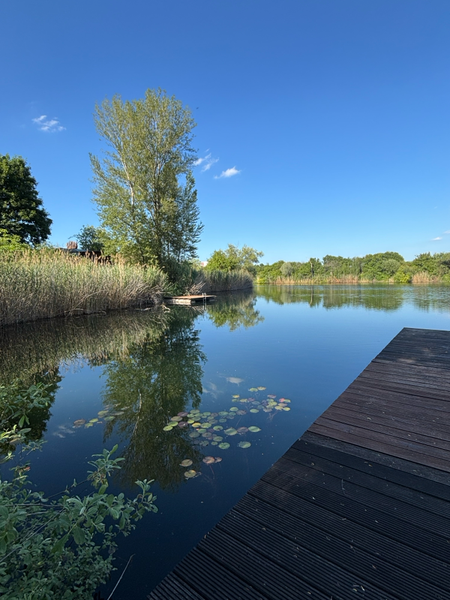 Blick auf den Abelweiher in LU-Oppau