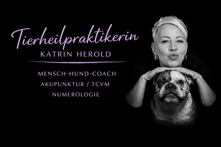 Tierheilpraxis Chemnitz