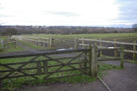 Footpath from the Visitor Centre towards Bourn Brook. Photograph © Phil Champion licensed for reuse under Creative Commons Licence Attribution-Share Alike 2.0 from the Geograph website OS reference SO9983.