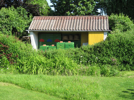 Massivbienenhaus ab 1984