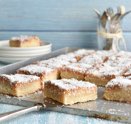 Kokos Blechkuchen vegan aus dem Thermomix einfach saftig und lecker