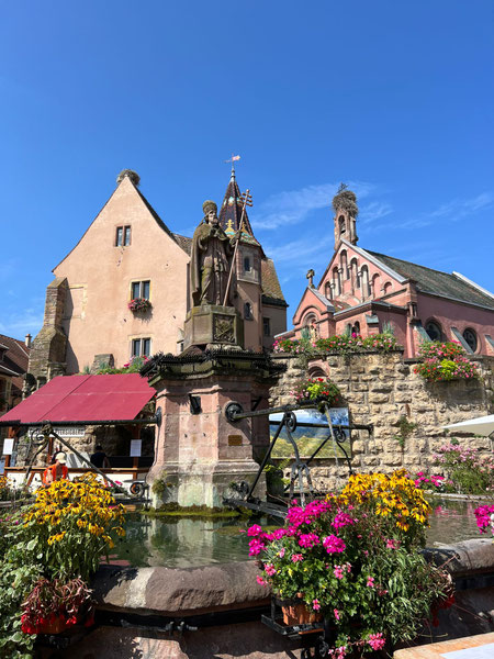 Blick durch die Weinberge auf eine typische Elsässer Ortschaft