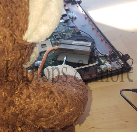 PC Laptop Computer Reinigung Lüfter Service Reparatur Staub Dreck Wärmeleitpaste