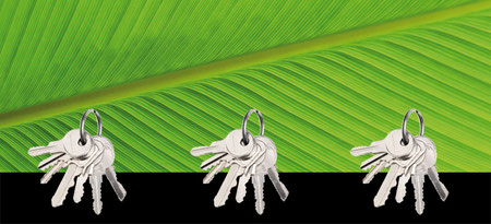 Design Geschenkidee Blatt