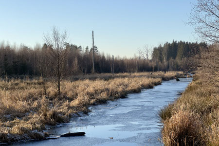 Foto: Wolfram Scheuermann