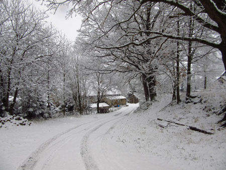 Das Uhliggut Winter 2018