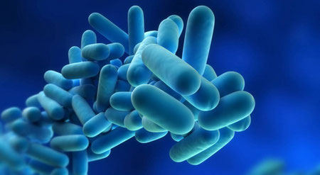 legionella