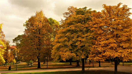 Erst recht im Herbst ein Meer aus Farben und ein Ort der Ruhe.