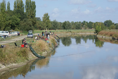 Le LAYON à Chalonnes sur Loire